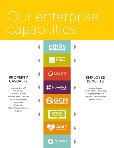 Our Enterprise Capabilities (2)